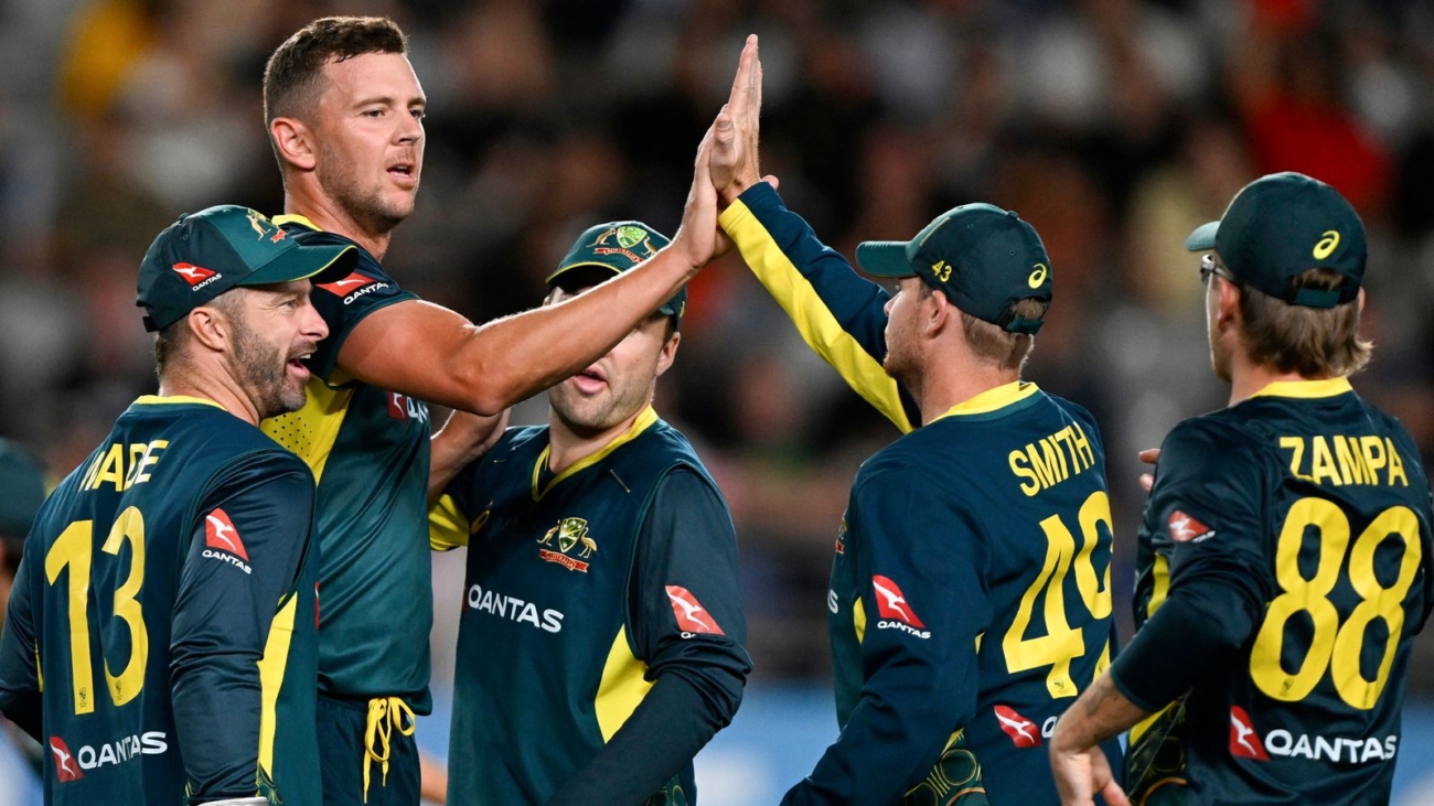 skysports-josh-hazlewood-cricket_6466103.jpg