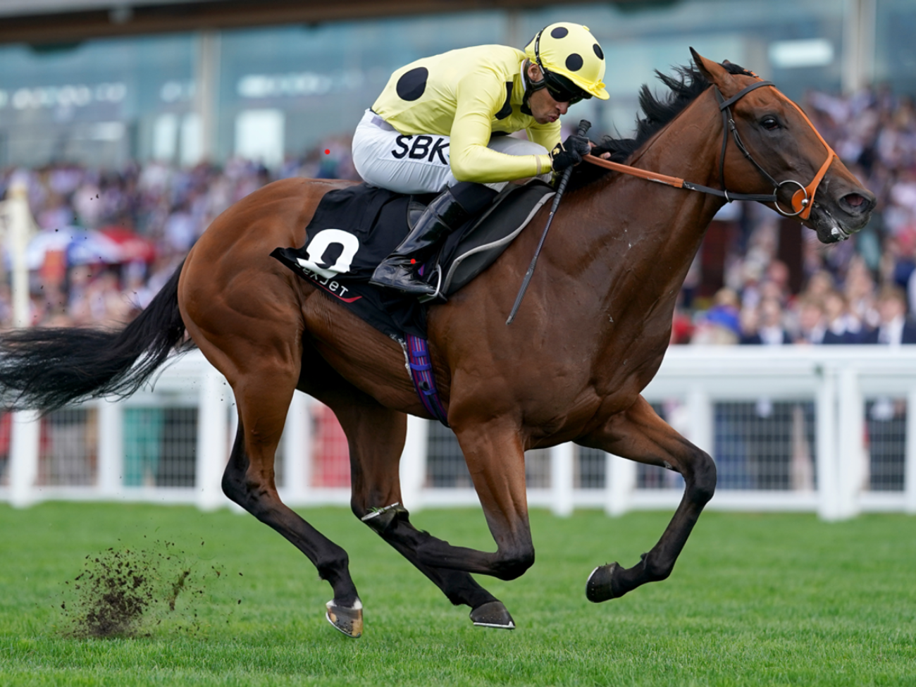 skysports-rosallion-racing_6563552.png