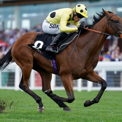 skysports-rosallion-racing_6563552.png