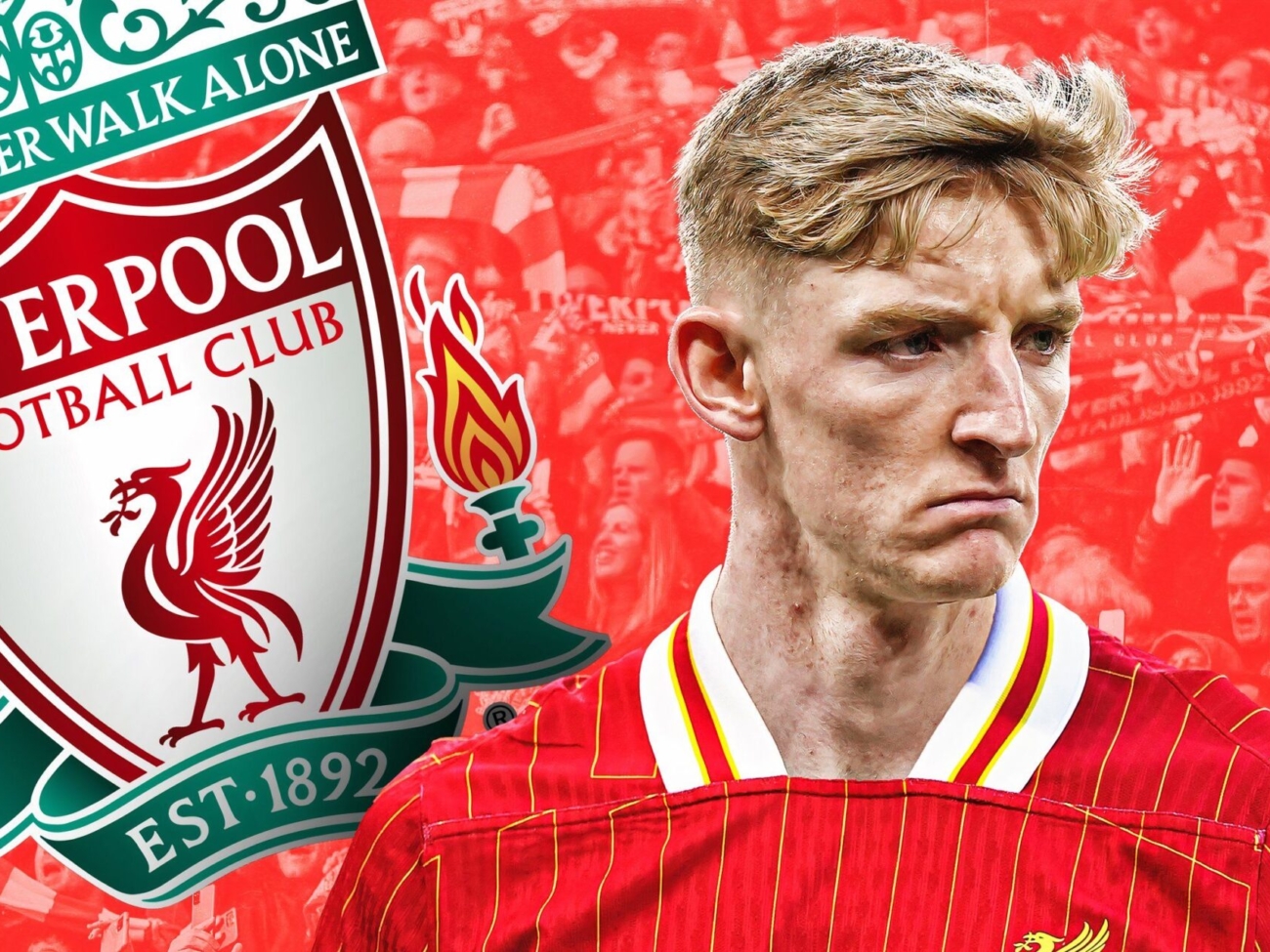 liverpool-anthony-gordon.jpg