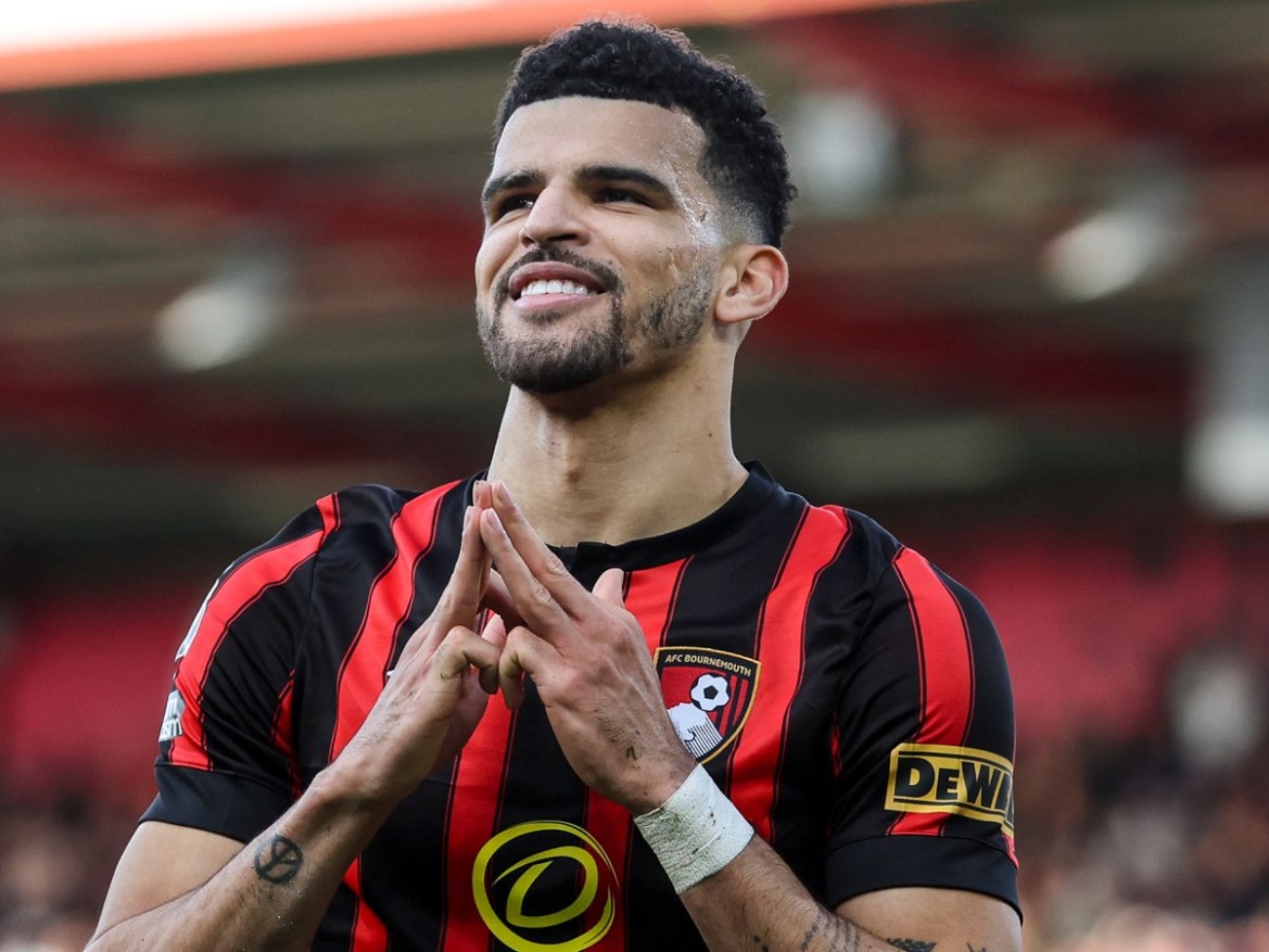 skysports-premier-league-dominic-solanke_6505532.jpg
