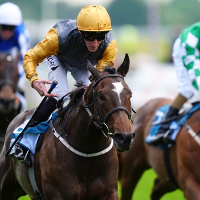 skysports-shadow-army-york_6624701.jpg