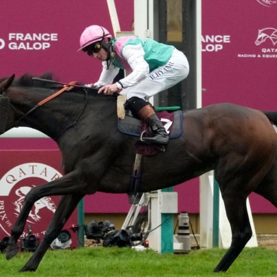 skysports-bluestocking-arc_6708327.jpg
