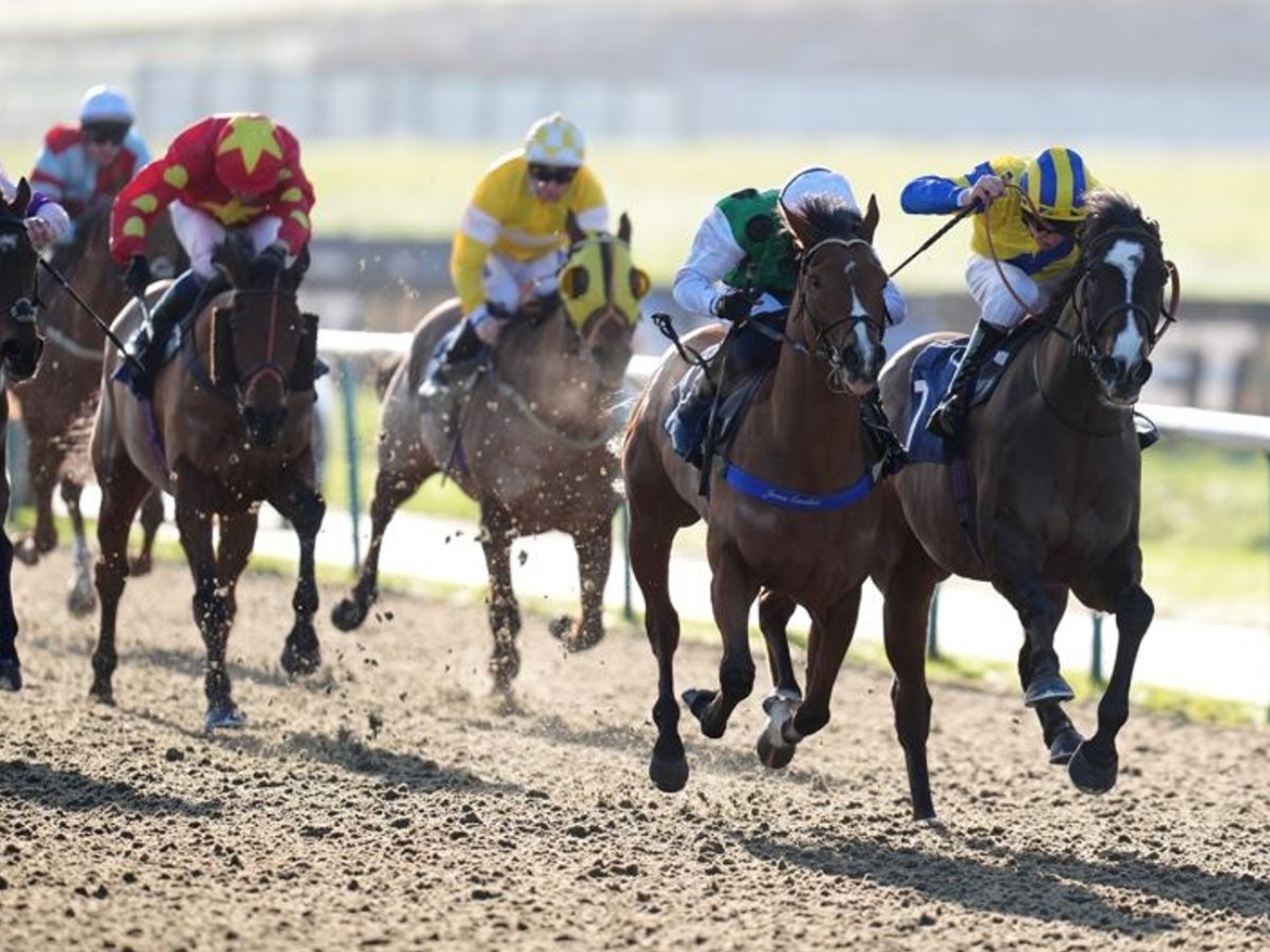 skysports-lingfield-racing_6797086.jpg