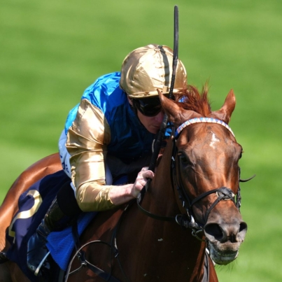 skysports-racing-crimson-advocate_6980864.jpg