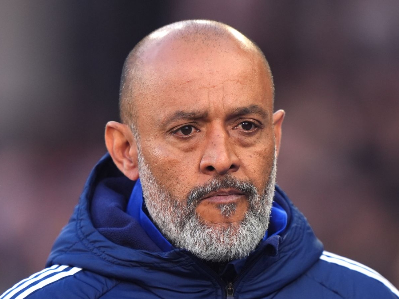skysports-nuno-espirito-santo_6997862.jpg